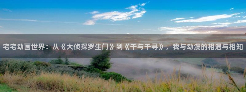 age动漫官网入口老版本：宅宅动画世界：从《大侦探罗生门》到《千与千寻》，我与动漫的相遇与相知