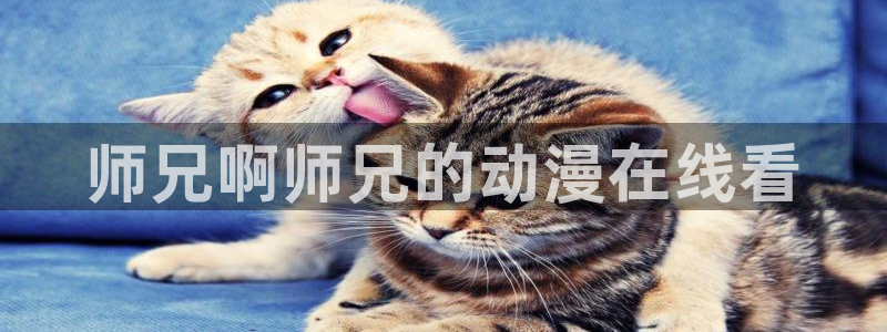 韩国漫画平台kakaopage：师兄啊师兄的动漫在线看