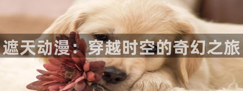managereader漫画官网入口：遮天动漫：穿越时空的奇幻之旅