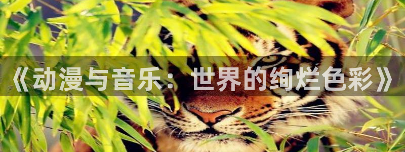 age动漫樱花：《动漫与音乐：世界的绚烂色彩》