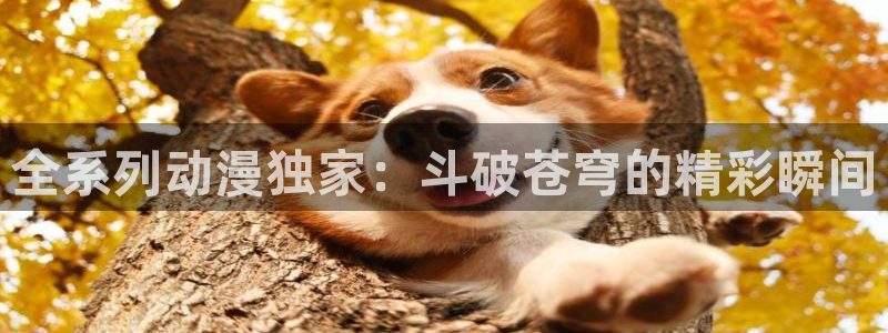 age樱花动漫：全系列动漫独家：斗破苍穹的精彩瞬间