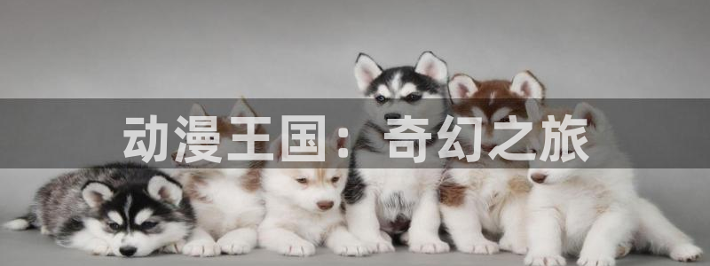 stagenehind韩漫免费观看：动漫王国：奇幻之旅