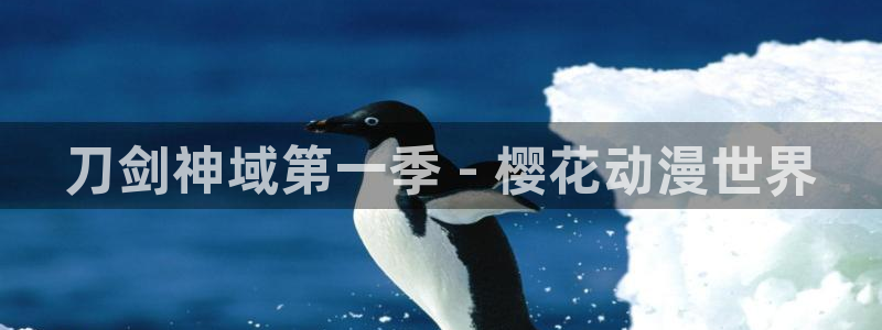 下载age动漫：刀剑神域第一季 - 樱花动漫世界
