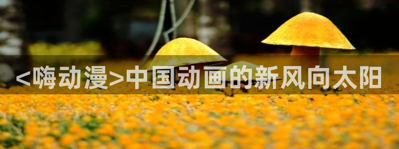 age动漫下载动漫全免费：<嗨动漫>中国动画的新风向太阳