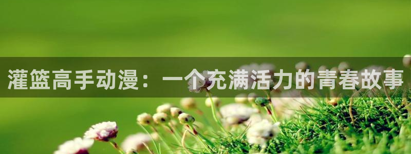 age动漫官网入口老版本：灌篮高手动漫：一个充满活力的青春故事