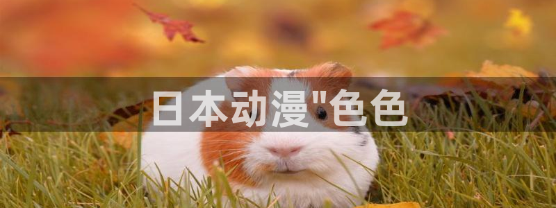 age动漫网：日本动漫\