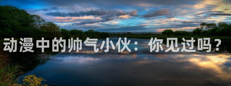 age动漫官网在线入口：动漫中的帅气小伙：你见过吗？