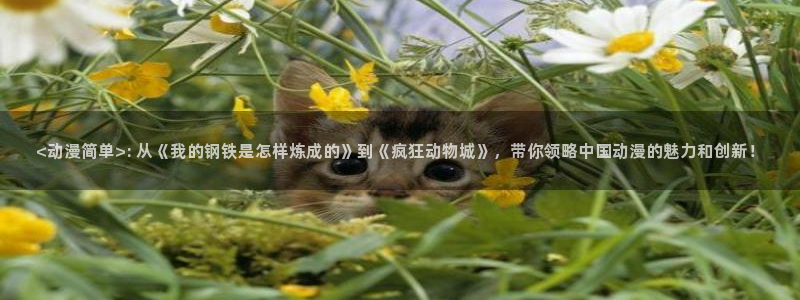 stagenehind韩漫免费观看：<动漫简单>: 从《我的钢铁是怎样炼成的》到《疯狂动物城》，带你领略中国动漫的魅力和创新！