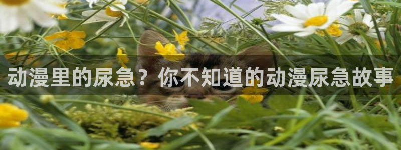 age动漫下载动漫全免费：动漫里的尿急？你不知道的动漫尿急故事
