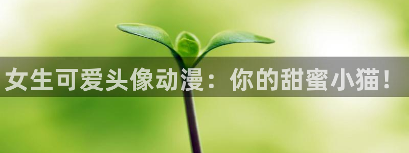 age动漫下载动漫全免费：女生可爱头像动漫：你的甜蜜小猫！