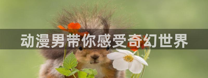 age动漫官网入口老版本：动漫男带你感受奇幻世界